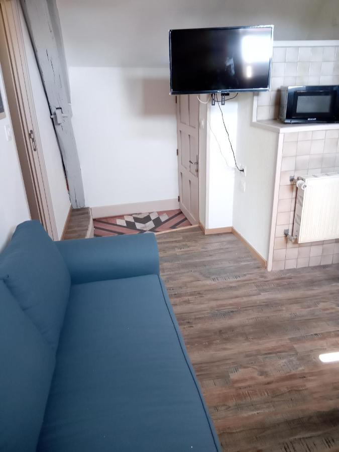 Le Marcel Appartement F1 De 24 M² Choisey Exterior foto